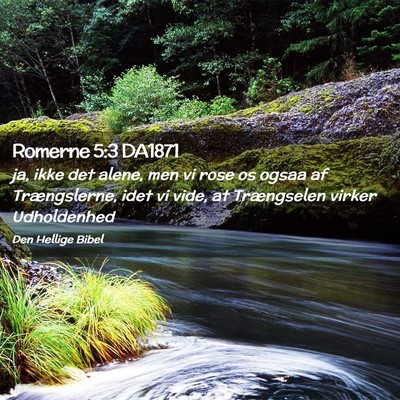Picture 02 - Romerne 5:3 DA1871 - ja, ikke det alene, men vi rose os ogsaa af - Bible Verse Picture