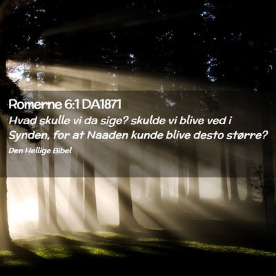 Picture 02 - Romerne 6:1 DA1871 - Hvad skulle vi da sige? skulde vi blive ved i - Bible Verse Picture