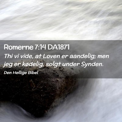 Picture 02 - Romerne 7:14 DA1871 - Thi vi vide, at Loven er aandelig; men jeg er - Bible Verse Picture