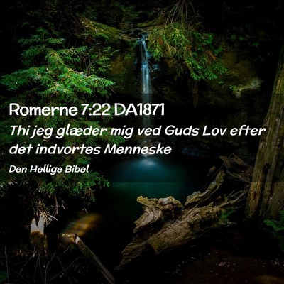 Picture 02 - Romerne 7:22 DA1871 - Thi jeg glæder mig ved Guds Lov efter det - Bible Verse Picture