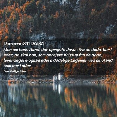 Picture 02 - Romerne 8:11 DA1871 - Men om hans Aand, der oprejste Jesus fra de - Bible Verse Picture