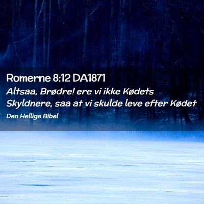 Picture 02 - Romerne 8:12 DA1871 - Altsaa, Brødre! ere vi ikke Kødets Skyldnere, - Bible Verse Picture