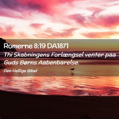 Picture 02 - Romerne 8:19 DA1871 - Thi Skabningens Forlængsel venter paa Guds - Bible Verse Picture