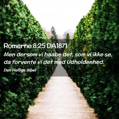 Picture 02 - Romerne 8:25 DA1871 - Men dersom vi haabe det, som vi ikke se, da - Bible Verse Picture