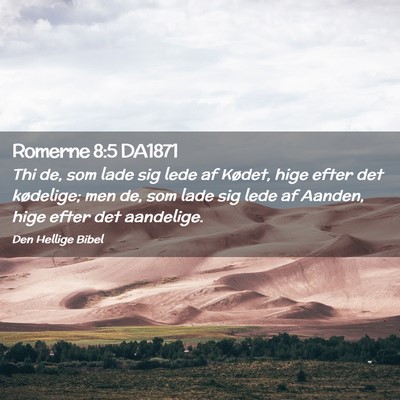 Picture 02 - Romerne 8:5 DA1871 - Thi de, som lade sig lede af Kødet, hige efter - Bible Verse Picture