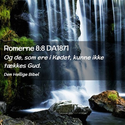 Picture 02 - Romerne 8:8 DA1871 - Og de, som ere i Kødet, kunne ikke tækkes - Bible Verse Picture