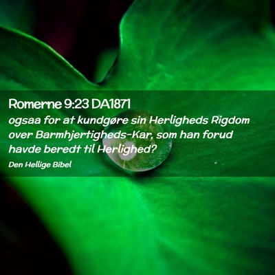 Picture 02 - Romerne 9:23 DA1871 - ogsaa for at kundgøre sin Herligheds Rigdom over - Bible Verse Picture