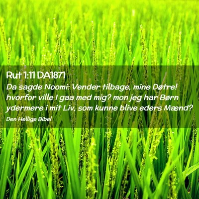 Picture 02 - Rut 1:11 DA1871 - Da sagde Noomi: Vender tilbage, mine Døtre! - Bible Verse Picture