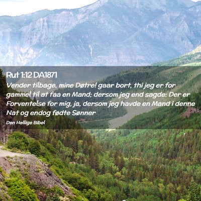 Picture 02 - Rut 1:12 DA1871 - Vender tilbage, mine Døtre! gaar bort, thi jeg - Bible Verse Picture