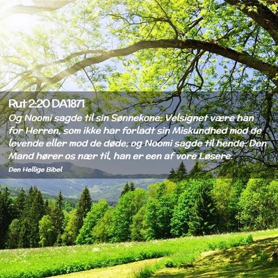 Picture 02 - Rut 2:20 DA1871 - Og Noomi sagde til sin Sønnekone: Velsignet - Bible Verse Picture