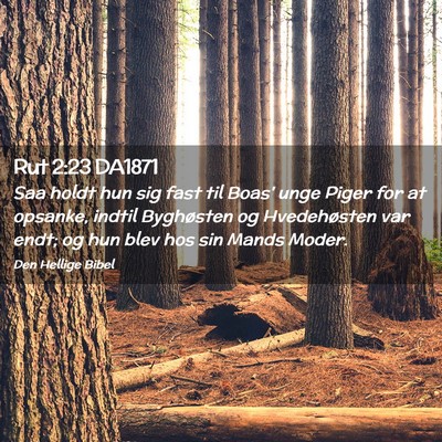 Picture 02 - Rut 2:23 DA1871 - Saa holdt hun sig fast til Boas' unge Piger for - Bible Verse Picture