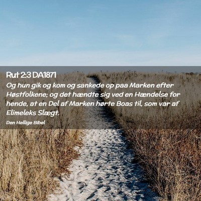 Picture 02 - Rut 2:3 DA1871 - Og hun gik og kom og sankede op paa Marken efter - Bible Verse Picture