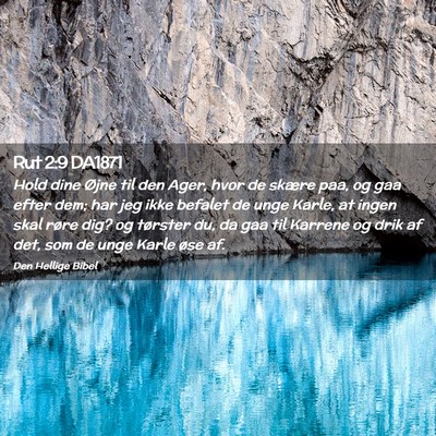 Picture 02 - Rut 2:9 DA1871 - Hold dine Øjne til den Ager, hvor de skære paa, - Bible Verse Picture