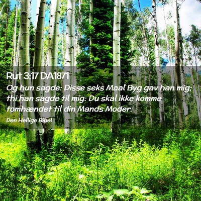 Picture 02 - Rut 3:17 DA1871 - Og hun sagde: Disse seks Maal Byg gav han mig; - Bible Verse Picture