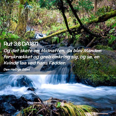 Picture 02 - Rut 3:8 DA1871 - Og det skete om Midnatten, da blev Manden - Bible Verse Picture