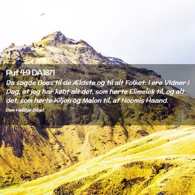 Picture 02 - Rut 4:9 DA1871 - Da sagde Boas til de Ældste og til alt Folket: I - Bible Verse Picture