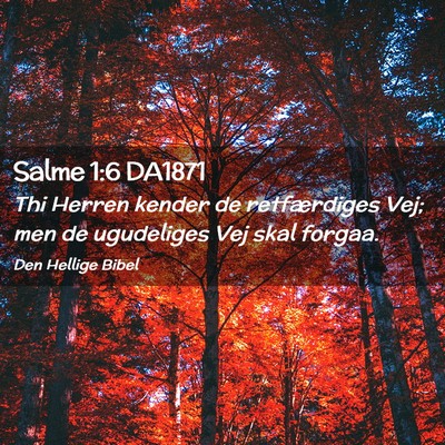 Picture 02 - Salme 1:6 DA1871 - Thi Herren kender de retfærdiges Vej; men de - Bible Verse Picture