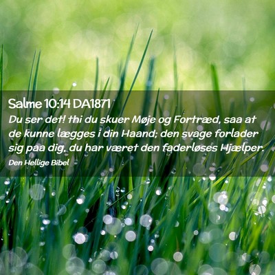 Picture 02 - Salme 10:14 DA1871 - Du ser det! thi du skuer Møje og Fortræd, saa - Bible Verse Picture