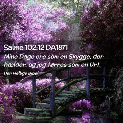 Picture 02 - Salme 102:12 DA1871 - Mine Dage ere som en Skygge, der hælder, og jeg - Bible Verse Picture