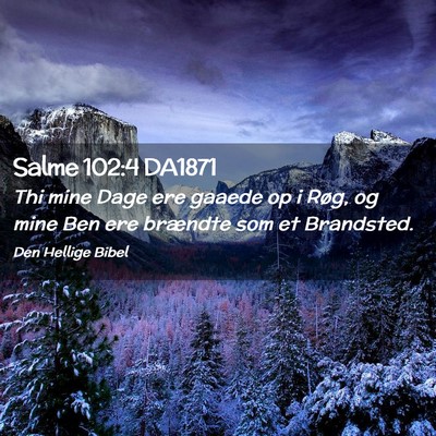Picture 02 - Salme 102:4 DA1871 - Thi mine Dage ere gaaede op i Røg, og mine Ben - Bible Verse Picture