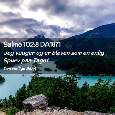 Picture 02 - Salme 102:8 DA1871 - Jeg vaager og er bleven som en enlig Spurv paa - Bible Verse Picture
