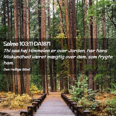 Picture 02 - Salme 103:11 DA1871 - Thi saa høj Himmelen er over Jorden, har hans - Bible Verse Picture