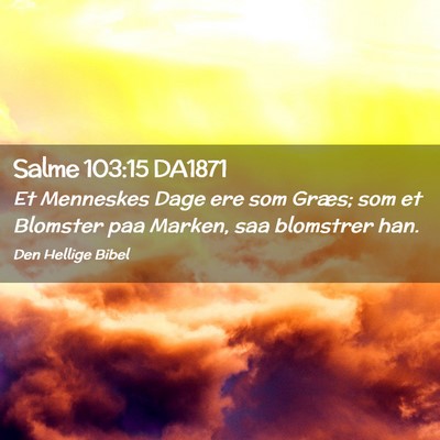 Picture 02 - Salme 103:15 DA1871 - Et Menneskes Dage ere som Græs; som et Blomster - Bible Verse Picture