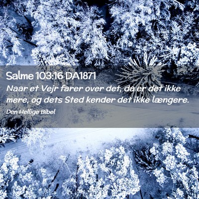 Picture 02 - Salme 103:16 DA1871 - Naar et Vejr farer over det, da er det ikke mere, - Bible Verse Picture