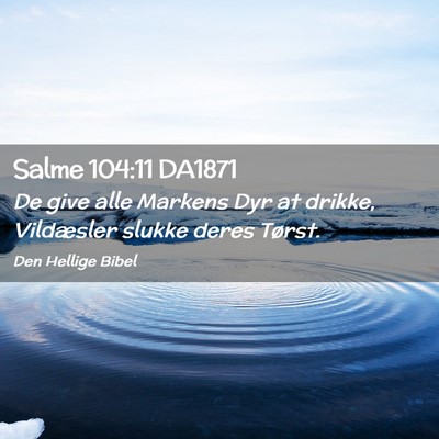 Picture 02 - Salme 104:11 DA1871 - De give alle Markens Dyr at drikke, Vildæsler - Bible Verse Picture