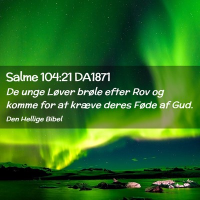 Picture 02 - Salme 104:21 DA1871 - De unge Løver brøle efter Rov og komme for at - Bible Verse Picture