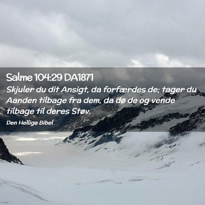 Picture 02 - Salme 104:29 DA1871 - Skjuler du dit Ansigt, da forfærdes de; tager du - Bible Verse Picture