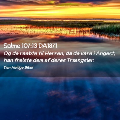 Picture 02 - Salme 107:13 DA1871 - Og de raabte til Herren, da de vare i Angest, han - Bible Verse Picture