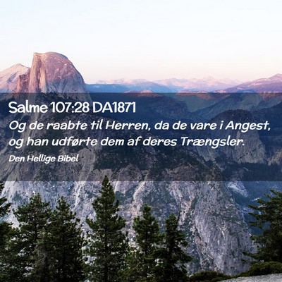 Picture 02 - Salme 107:28 DA1871 - Og de raabte til Herren, da de vare i Angest, og - Bible Verse Picture