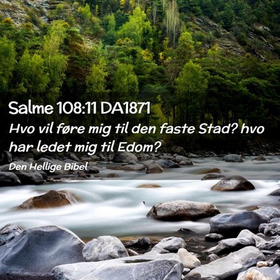 Picture 02 - Salme 108:11 DA1871 - Hvo vil føre mig til den faste Stad? hvo har - Bible Verse Picture
