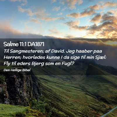 Picture 02 - Salme 11:1 DA1871 - Til Sangmesteren; af David. Jeg haaber paa - Bible Verse Picture