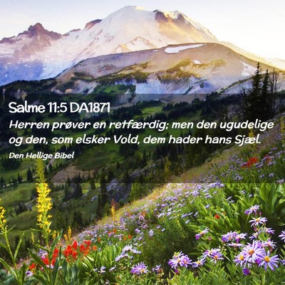 Picture 02 - Salme 11:5 DA1871 - Herren prøver en retfærdig; men den ugudelige - Bible Verse Picture