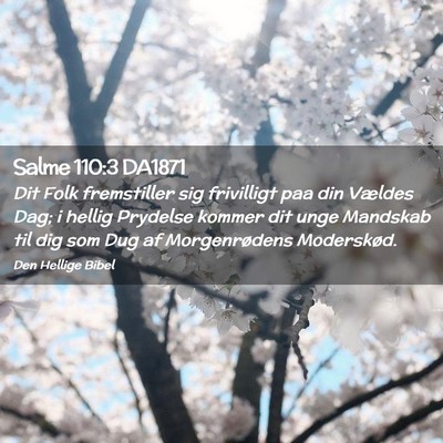 Picture 02 - Salme 110:3 DA1871 - Dit Folk fremstiller sig frivilligt paa din - Bible Verse Picture