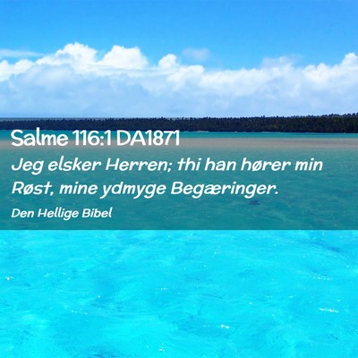 Picture 02 - Salme 116:1 DA1871 - Jeg elsker Herren; thi han hører min Røst, mine - Bible Verse Picture