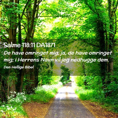 Picture 02 - Salme 118:11 DA1871 - De have omringet mig, ja, de have omringet mig; i - Bible Verse Picture