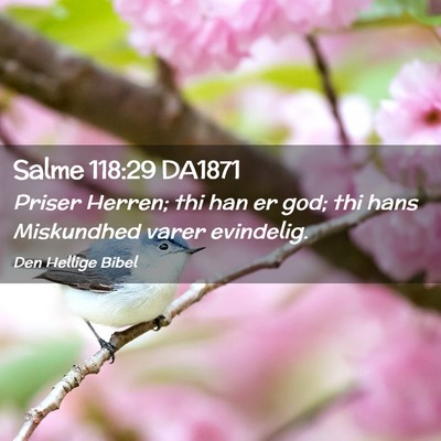 Picture 02 - Salme 118:29 DA1871 - Priser Herren; thi han er god; thi hans - Bible Verse Picture
