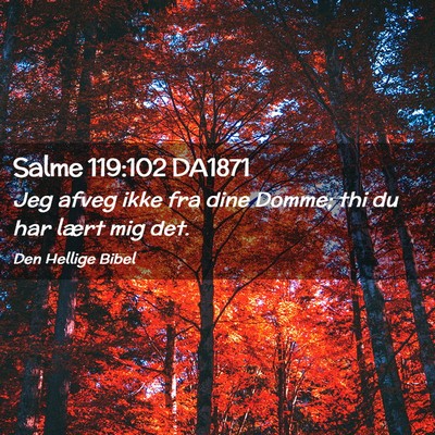 Picture 02 - Salme 119:102 DA1871 - Jeg afveg ikke fra dine Domme; thi du har lært - Bible Verse Picture