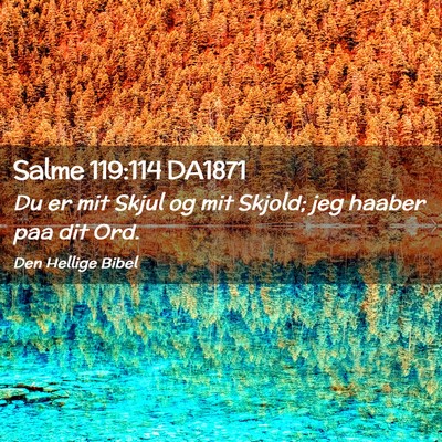 Picture 02 - Salme 119:114 DA1871 - Du er mit Skjul og mit Skjold; jeg haaber paa dit - Bible Verse Picture