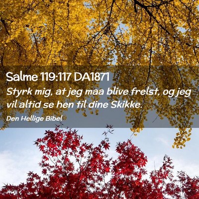 Picture 02 - Salme 119:117 DA1871 - Styrk mig, at jeg maa blive frelst, og jeg vil - Bible Verse Picture