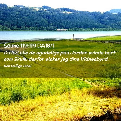 Picture 02 - Salme 119:119 DA1871 - Du lod alle de ugudelige paa Jorden svinde bort - Bible Verse Picture