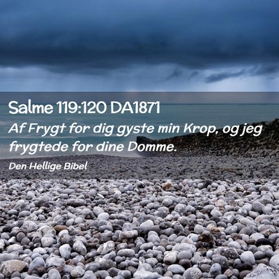 Picture 02 - Salme 119:120 DA1871 - Af Frygt for dig gyste min Krop, og jeg frygtede - Bible Verse Picture