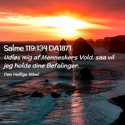 Picture 02 - Salme 119:134 DA1871 - Udløs mig af Menneskers Vold, saa vil jeg holde - Bible Verse Picture