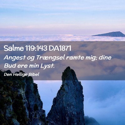 Picture 02 - Salme 119:143 DA1871 - Angest og Trængsel ramte mig; dine Bud ere min - Bible Verse Picture