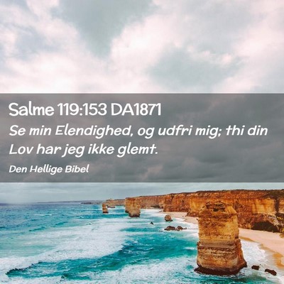 Picture 02 - Salme 119:153 DA1871 - Se min Elendighed, og udfri mig; thi din Lov har - Bible Verse Picture
