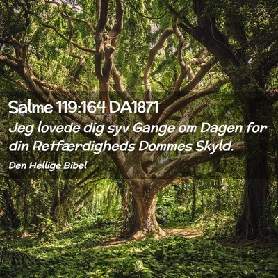 Picture 02 - Salme 119:164 DA1871 - Jeg lovede dig syv Gange om Dagen for din - Bible Verse Picture