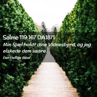 Picture 02 - Salme 119:167 DA1871 - Min Sjæl holdt dine Vidnesbyrd, og jeg elskede - Bible Verse Picture